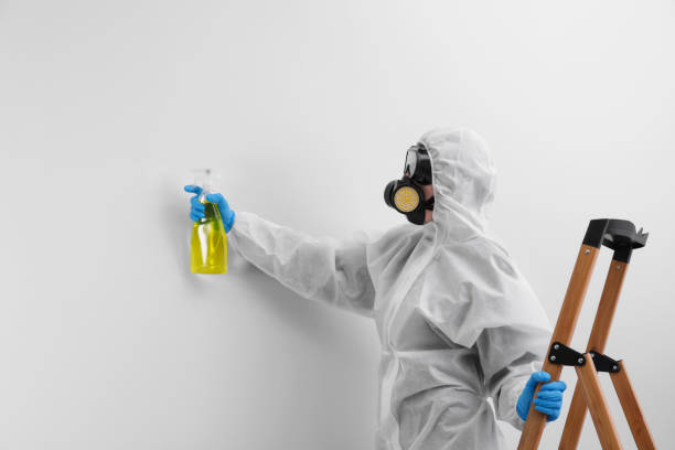 Mold Odor Removal Services in Fulton, TX